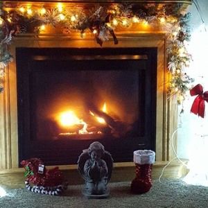 Meet your Posher, Ann